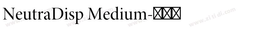 NeutraDisp Medium字体转换